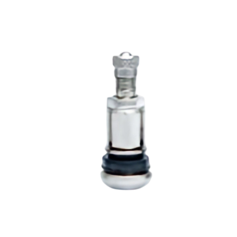 TR42039 Standard Straight Metal Clamp-In Tubeless Valves