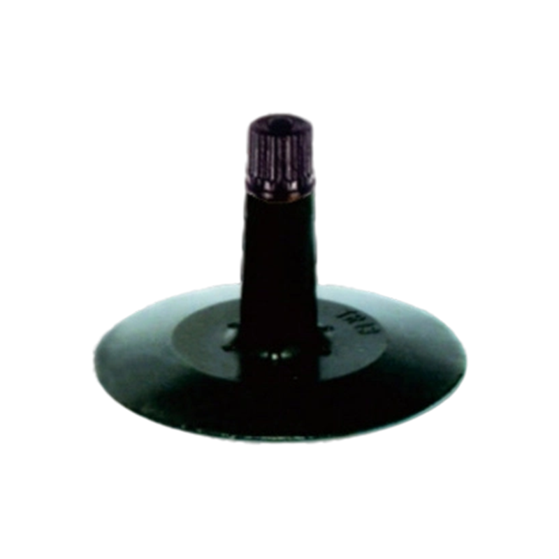 R204101 Standard Black-Cap Passenger Tube Valves